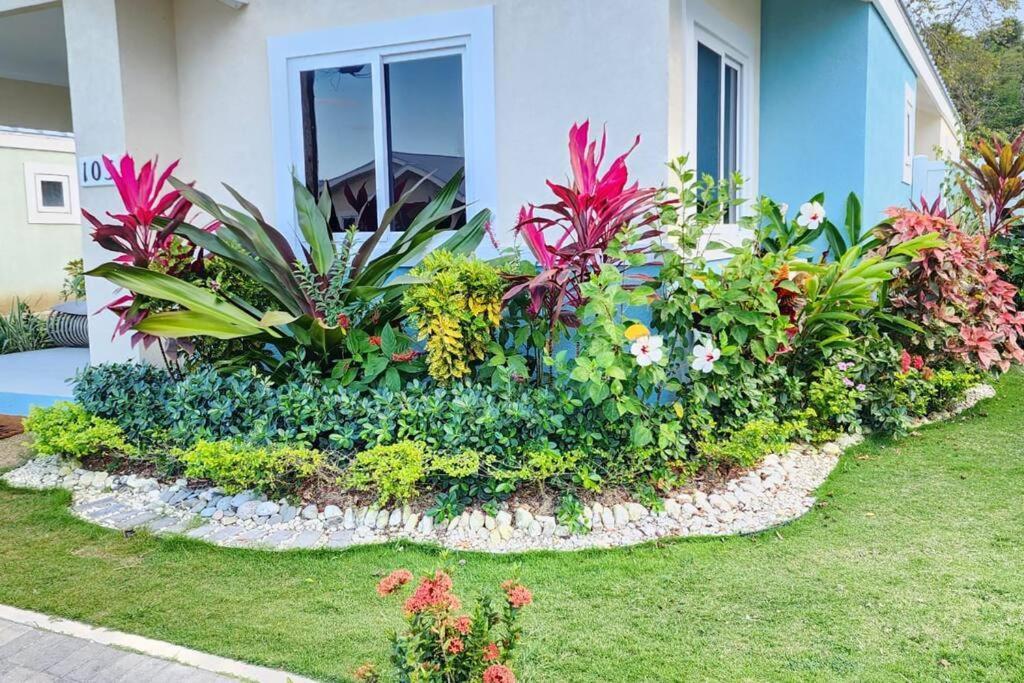 Snooze At Oceanpointe Villa Lucea Ngoại thất bức ảnh
